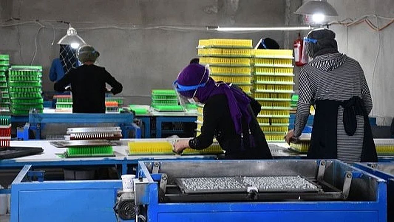 40 Mesleğe Daha Zorunluluk Geldi: Belgesi Olmayan Çalışamayacak